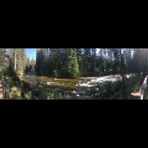 Meet your Posher, Elsa